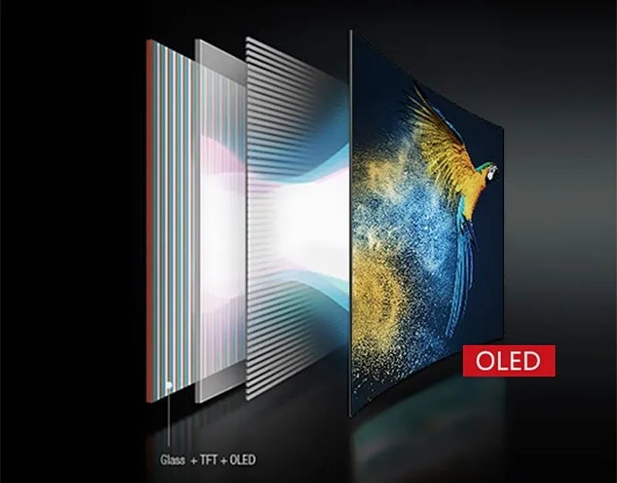 KUNDENSPEZIFISCHE LCD-MODULE & LÖSUNGEN_OLED