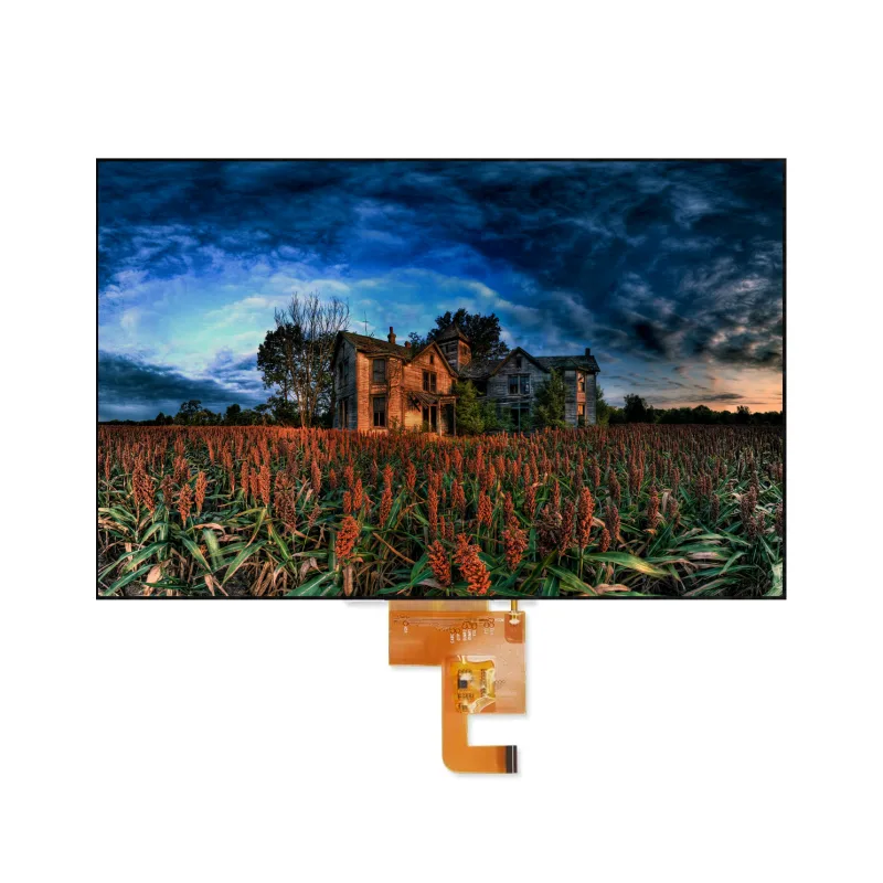 Module LCD TFT de 5,0 pouces
