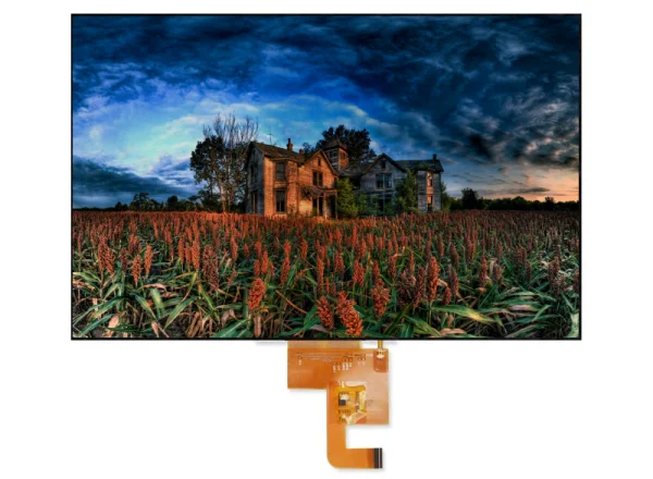 Ruggedized TFT LCD Display Modules