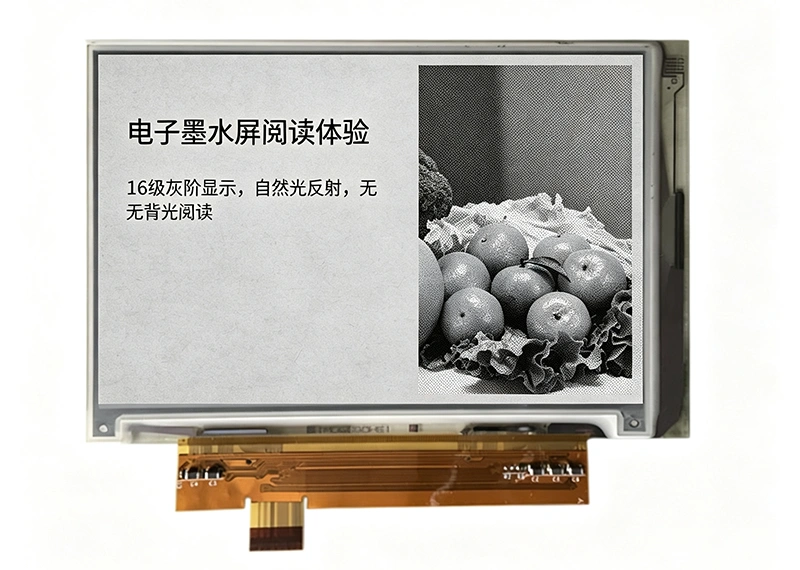 티안마 E-ink 디스플레이